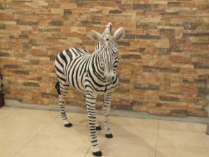 Afrika Zebrası Figürü