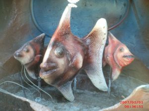 Akvaryum Balığı Figürü