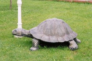 Büyük Kaplumbağa Figürü
