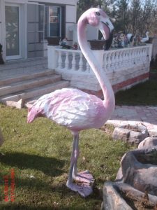 Flamingo Maketi
