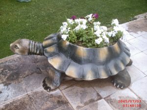 Kaplumbağa Çiçeklik Heykeli