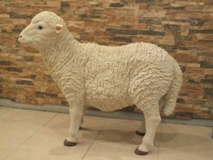 Kıbrıs Büyük Koyun Maketi