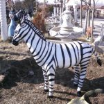 Zebra Maketi