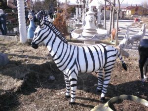 Zebra Maketi